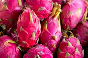 fresh dragon fruit in the market